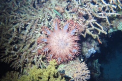 image10