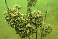 geiseltalsee03