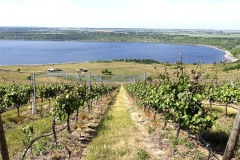 geiseltalsee09