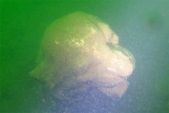 graebendorfer_see08