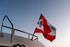 Rotes Meer Safari 2009