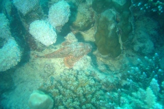 DSC00164