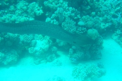 DSC00181