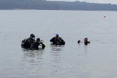 Weihnachtstauchen_Stechlinsee_2017_04